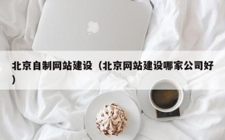 眉山北京自制网站建设（北京网站建设哪家公司好）