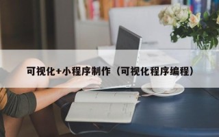 眉山可视化+小程序制作（可视化程序编程）